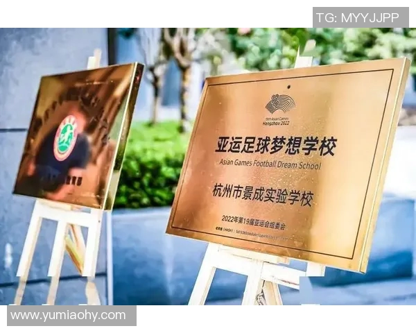 杭州足球队的运营策略深度分析与发展前景探讨